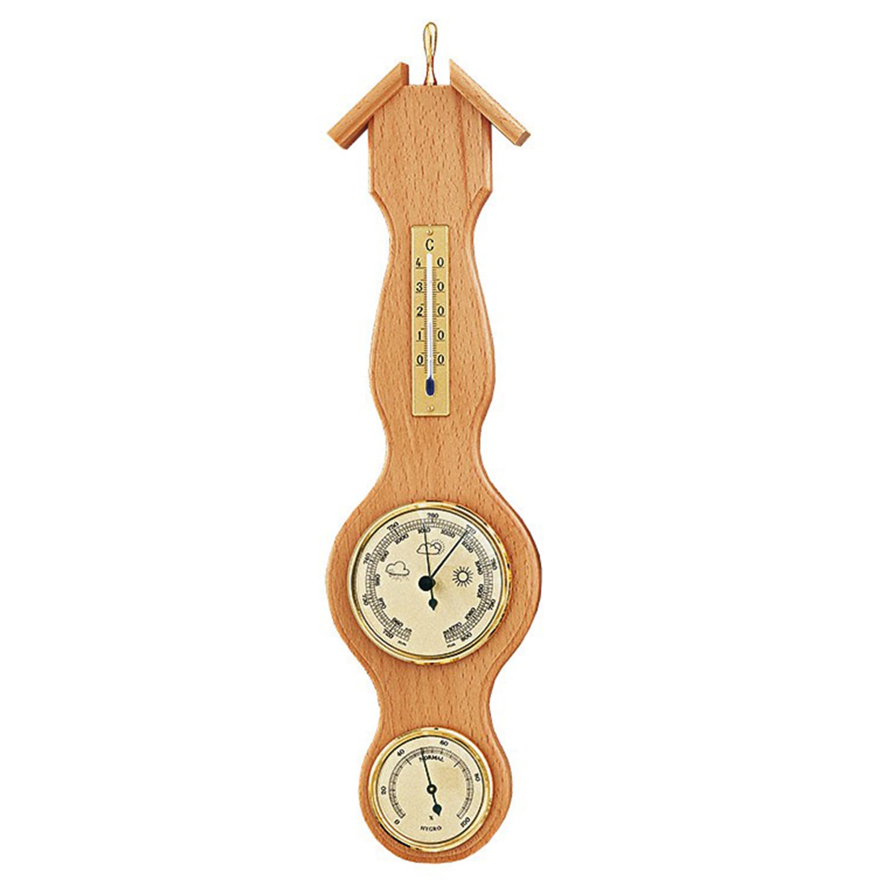 Метеостанція Moller 203057 Beech (203057) — 4